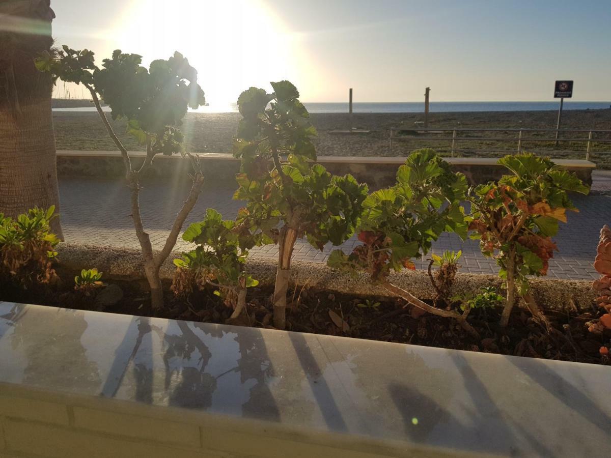 Apartamento Solymar 3 サン・ホセ エクステリア 写真